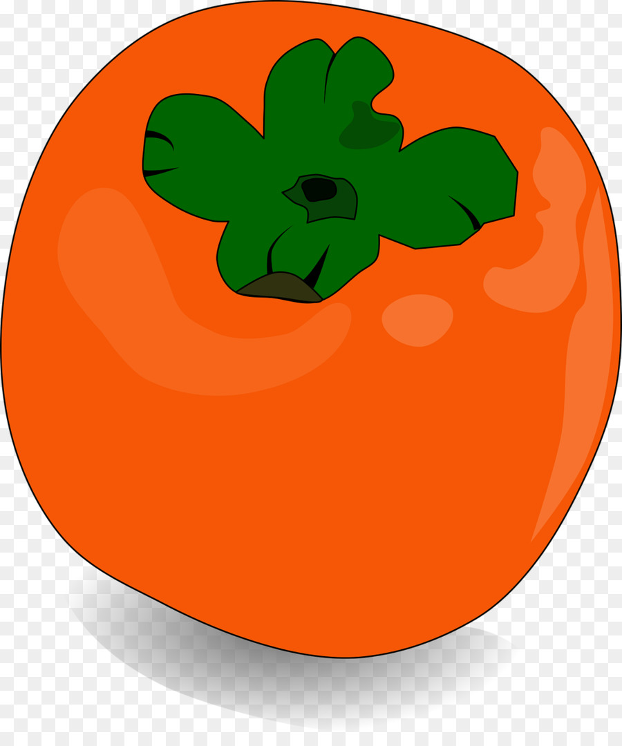 Persimmon，Télécharger PNG