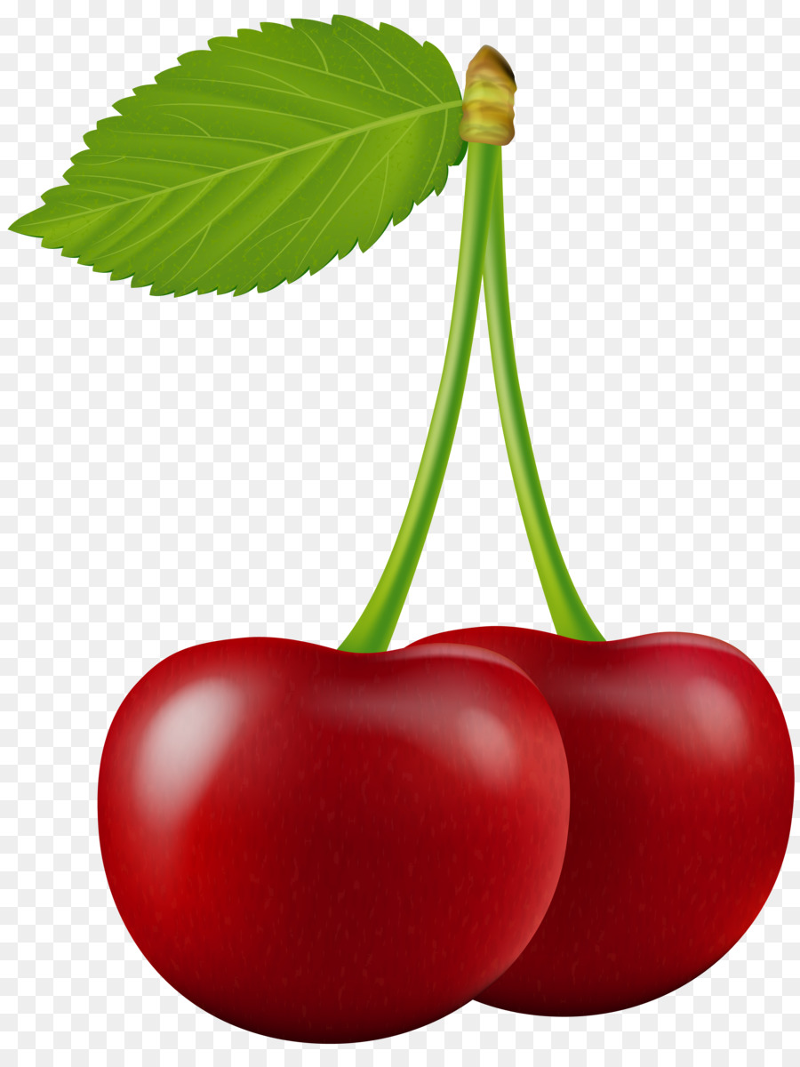 Cerises Rouges，Feuilles PNG