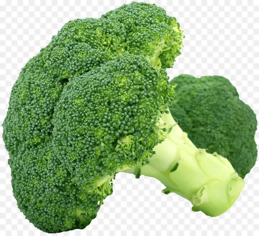 Brocoli，Vert PNG