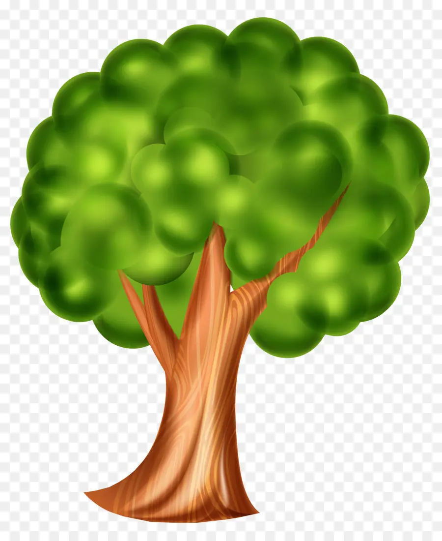 Arbre，Vert PNG