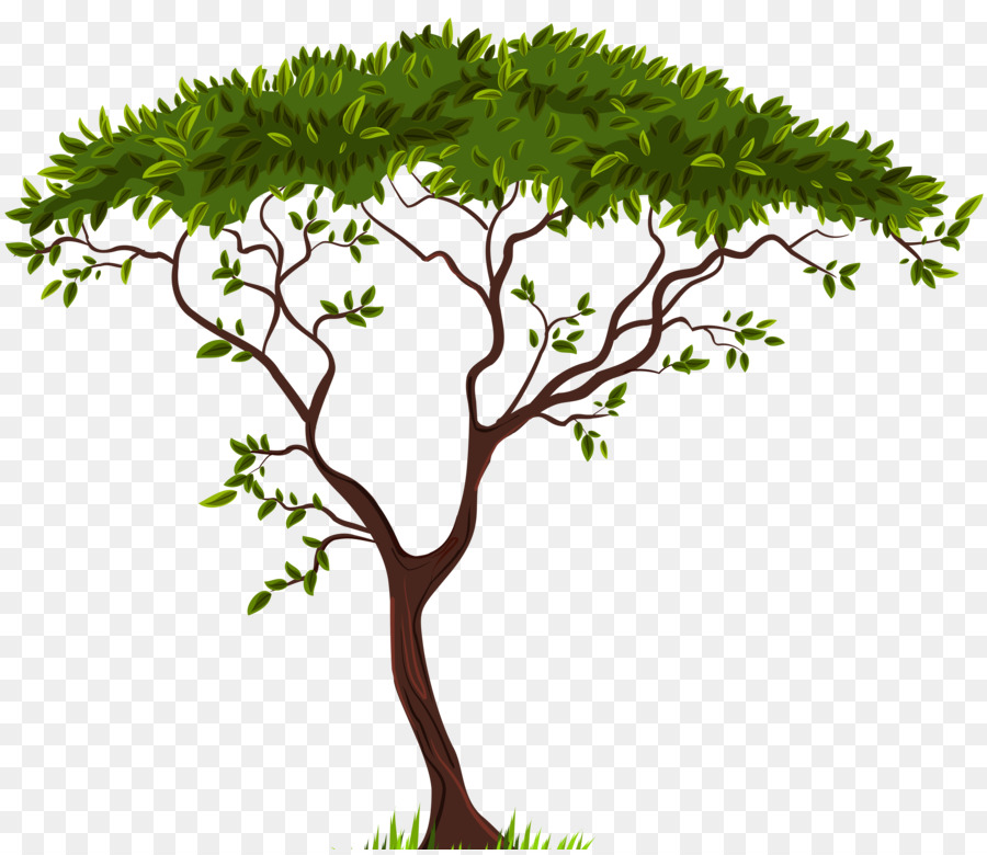 Arbre，Branche PNG