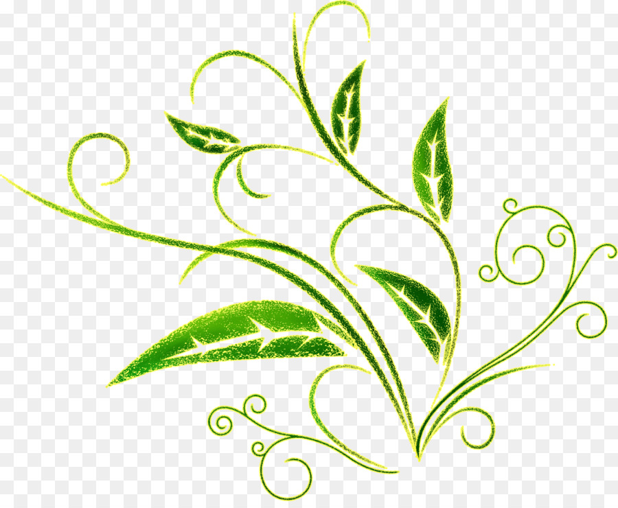 Plante Abstraite，Feuilles PNG