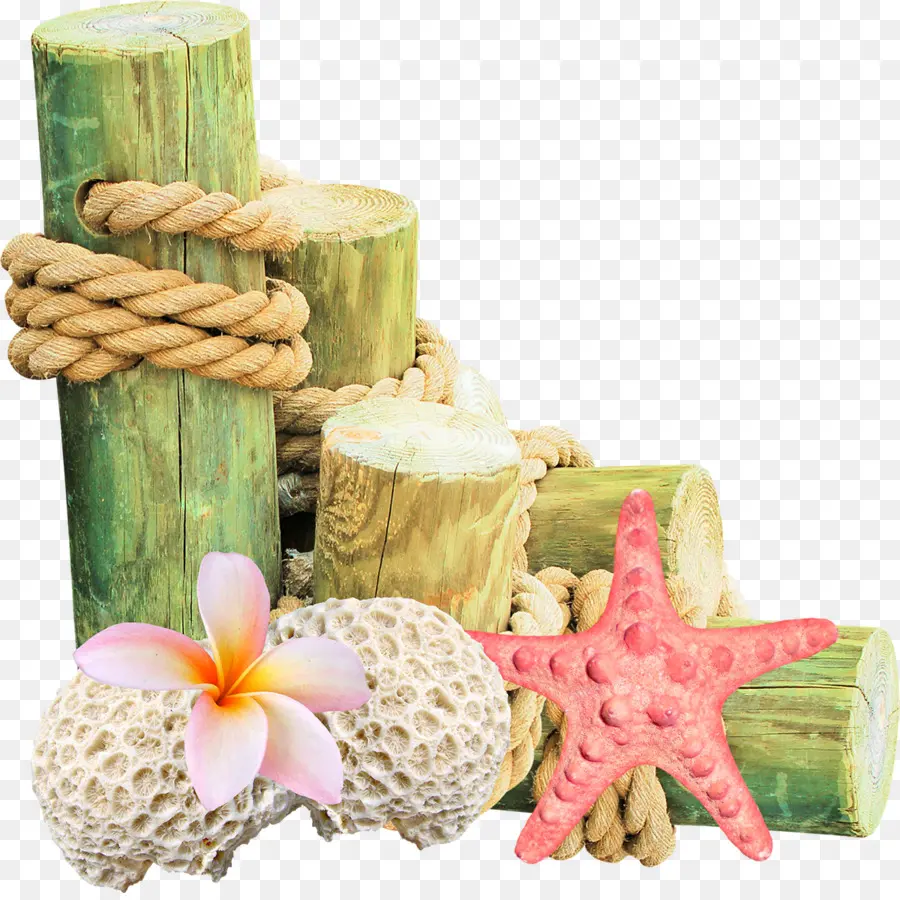 Poteaux En Bois，Corde PNG