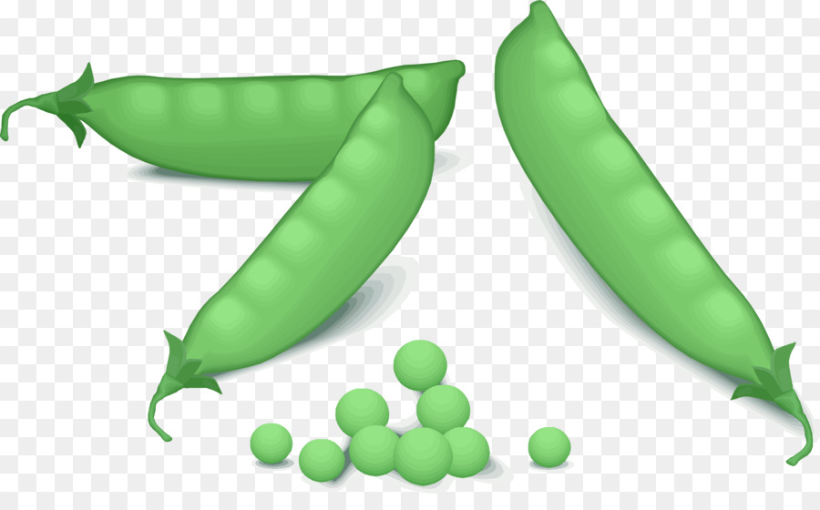 Pois Verts，Gousses PNG