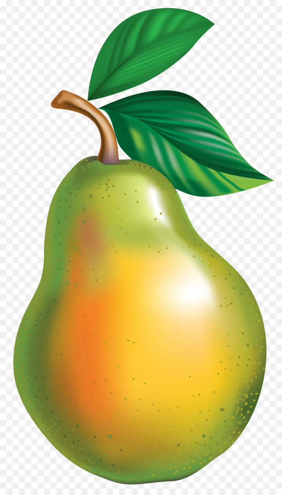 Poire，Fruit PNG