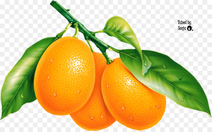 Pomelo，Le Mandarin Orange PNG