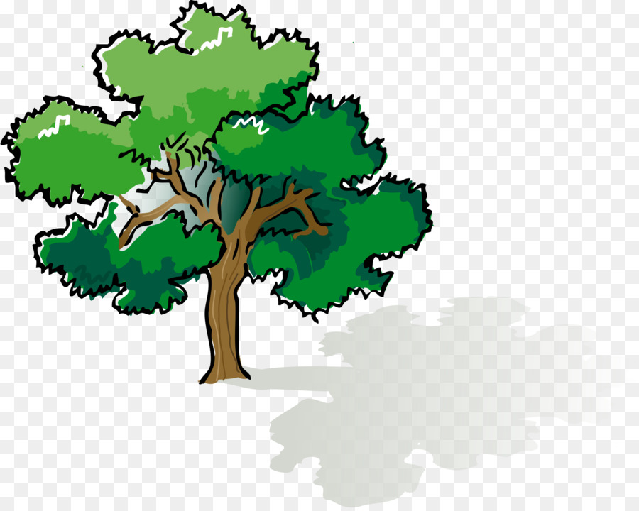 Arbre，Feuilles PNG