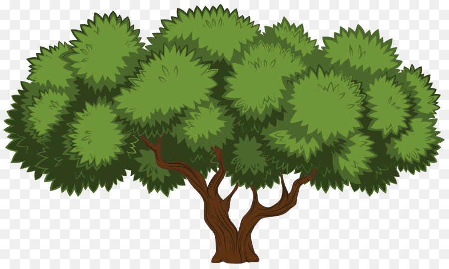 Arbre，Vert PNG