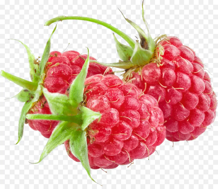 Rouge Framboise，Remontant à La Framboise PNG