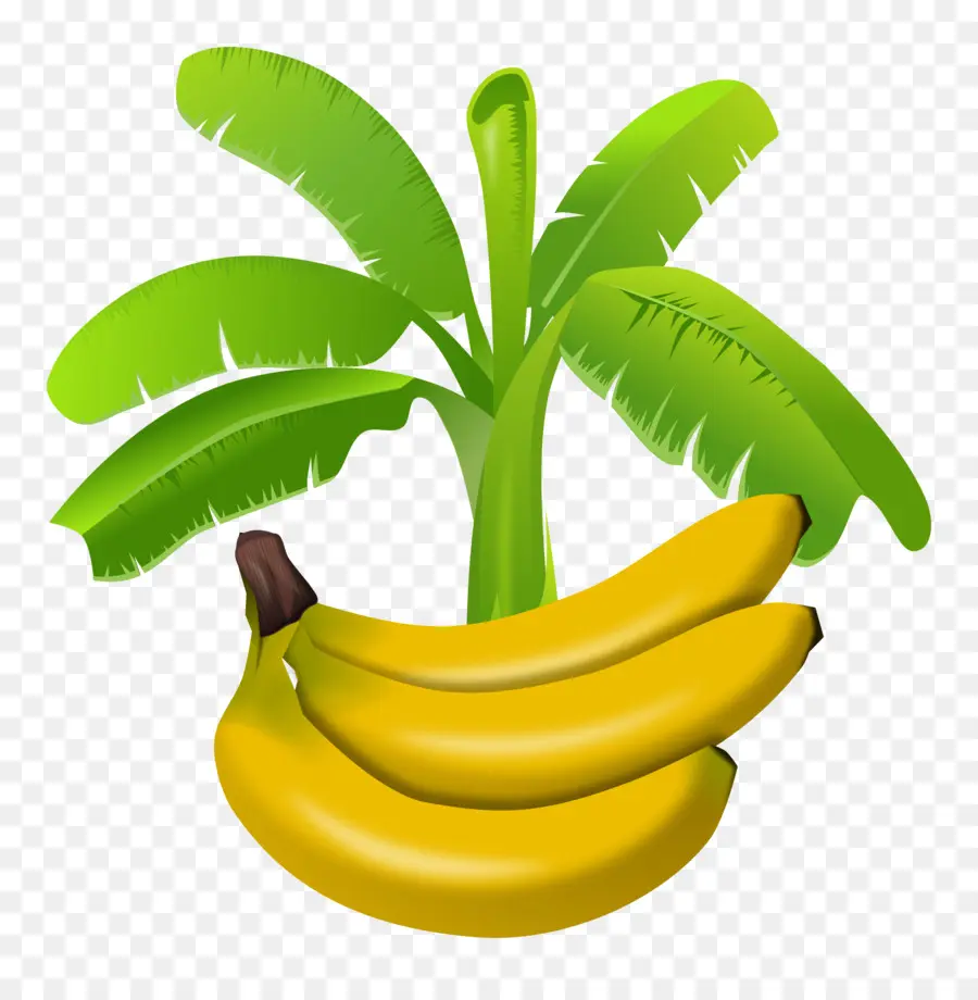 Pudding De Banane，Banane PNG