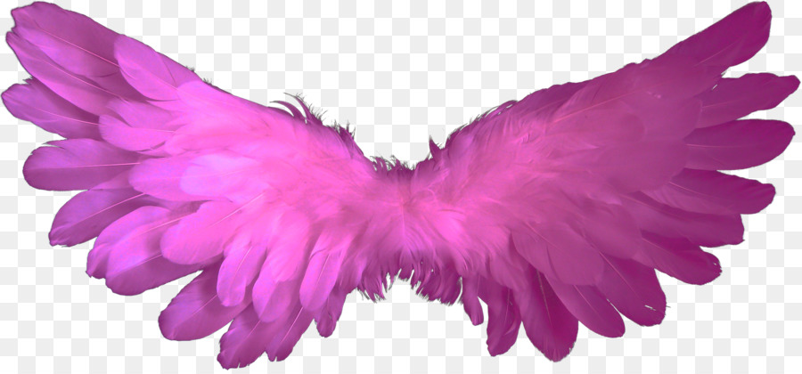 Aile Violette，À Plumes PNG