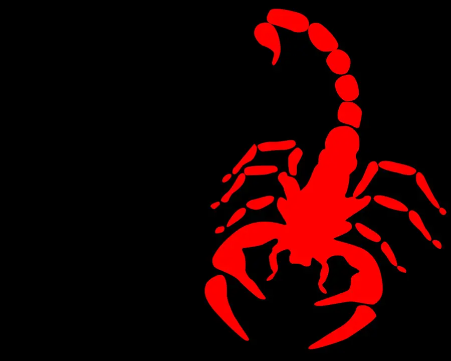 Scorpion，Rouge PNG