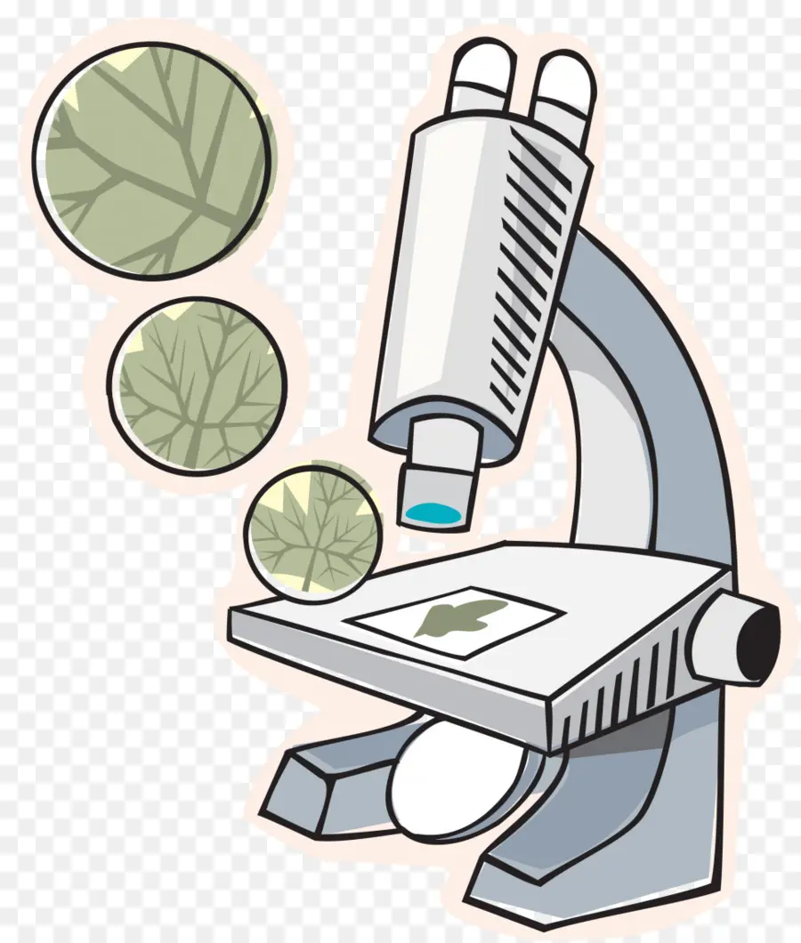 Microscope De Dessin Animé，Science PNG