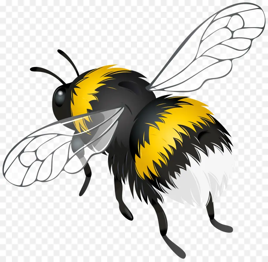 Abeille，Ailes PNG