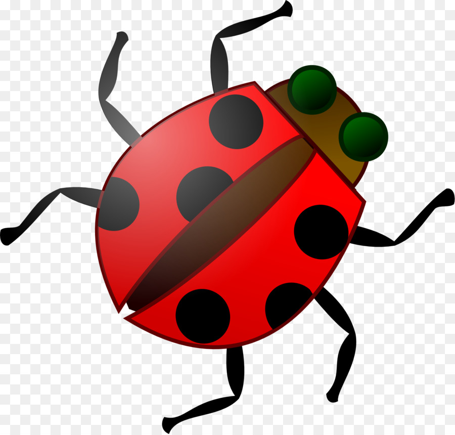 Coccinelle，Bogue PNG