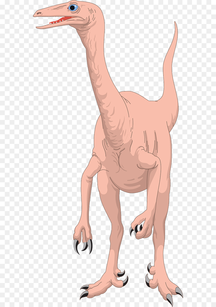 Reptile，Dinosaure PNG