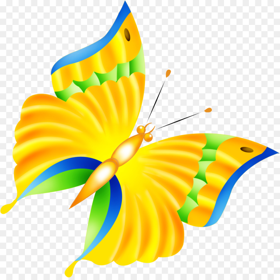Papillon，Aperçu PNG