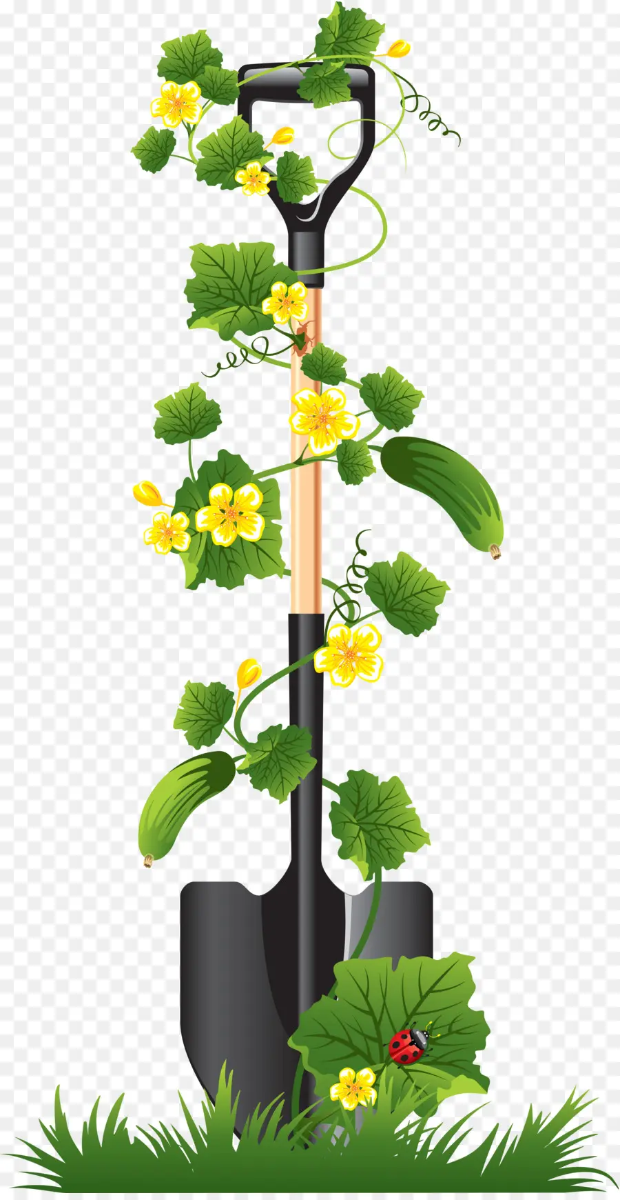 Pelle Avec Des Plantes，Plantes PNG