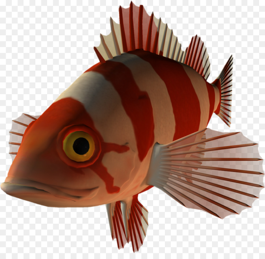 Poisson De Dessin Animé，Poisson PNG