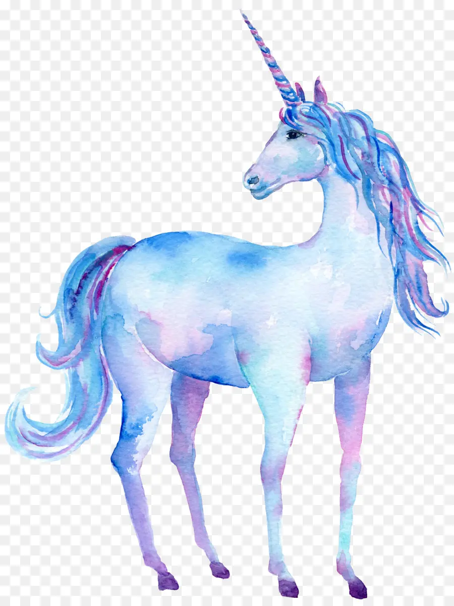 Peinture à L Aquarelle，Licorne PNG