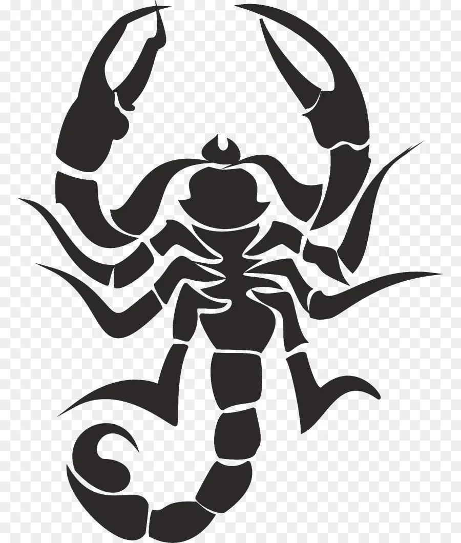 Scorpion，Tatouage PNG