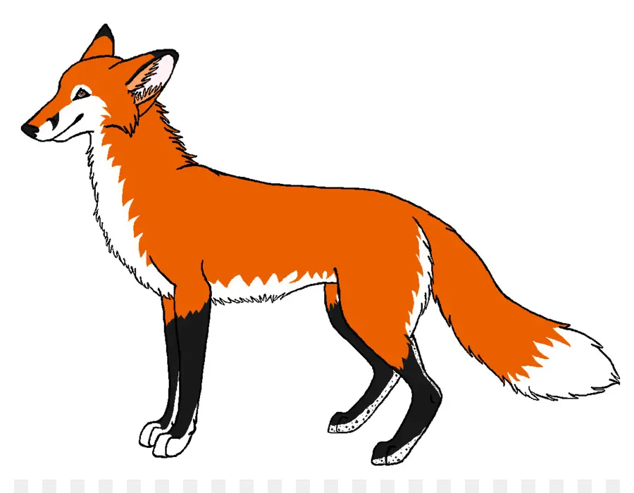 Renard De Dessin Animé，Animal PNG