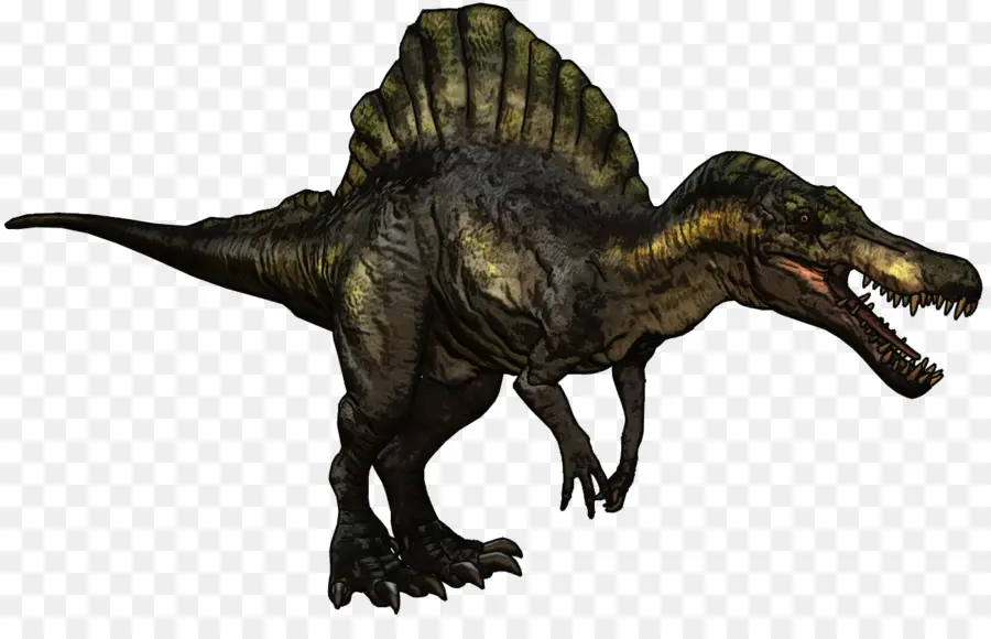 Spinosaurus，Baryonyx PNG