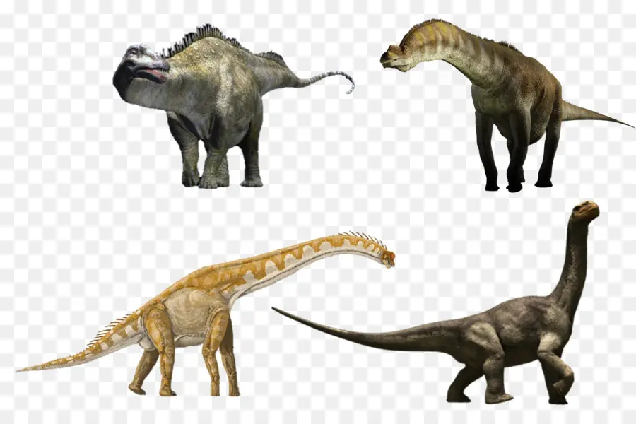 Dinosaures，T Rex PNG