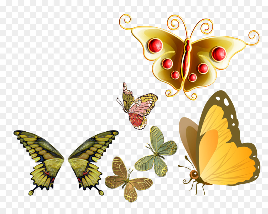 Papillon，Peinture PNG