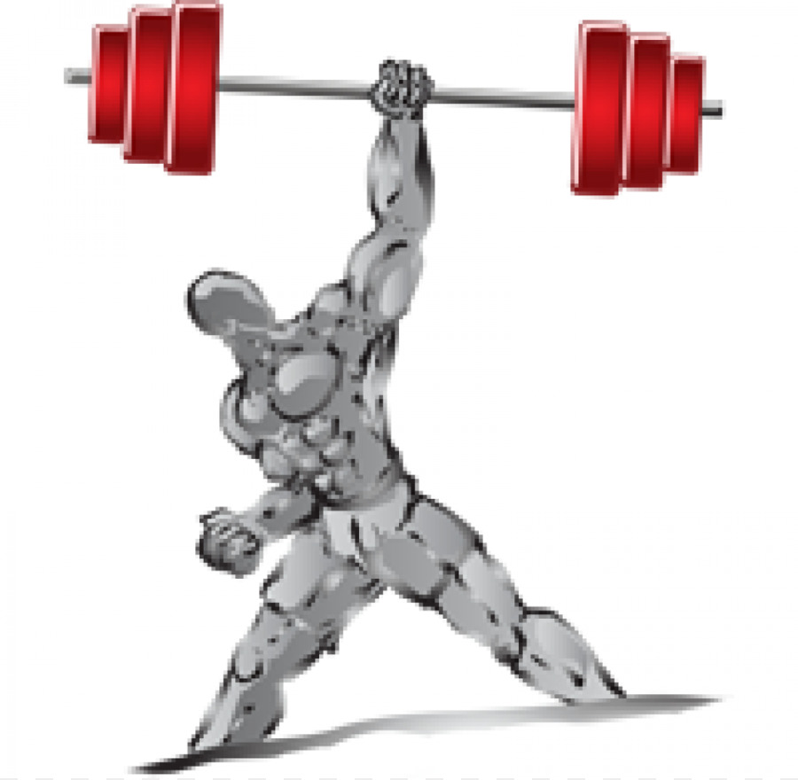 Muscle，Musculation PNG