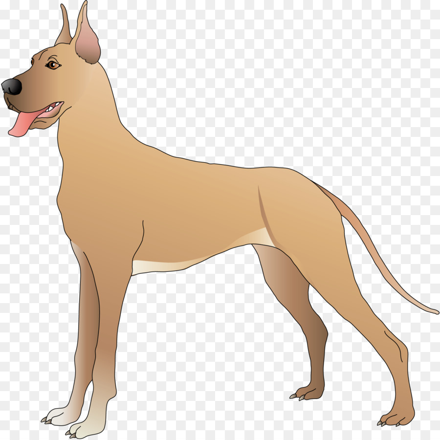 Chien，Brun PNG