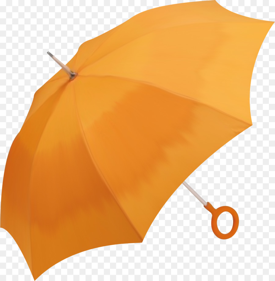Bumbershoot，Parapluie PNG