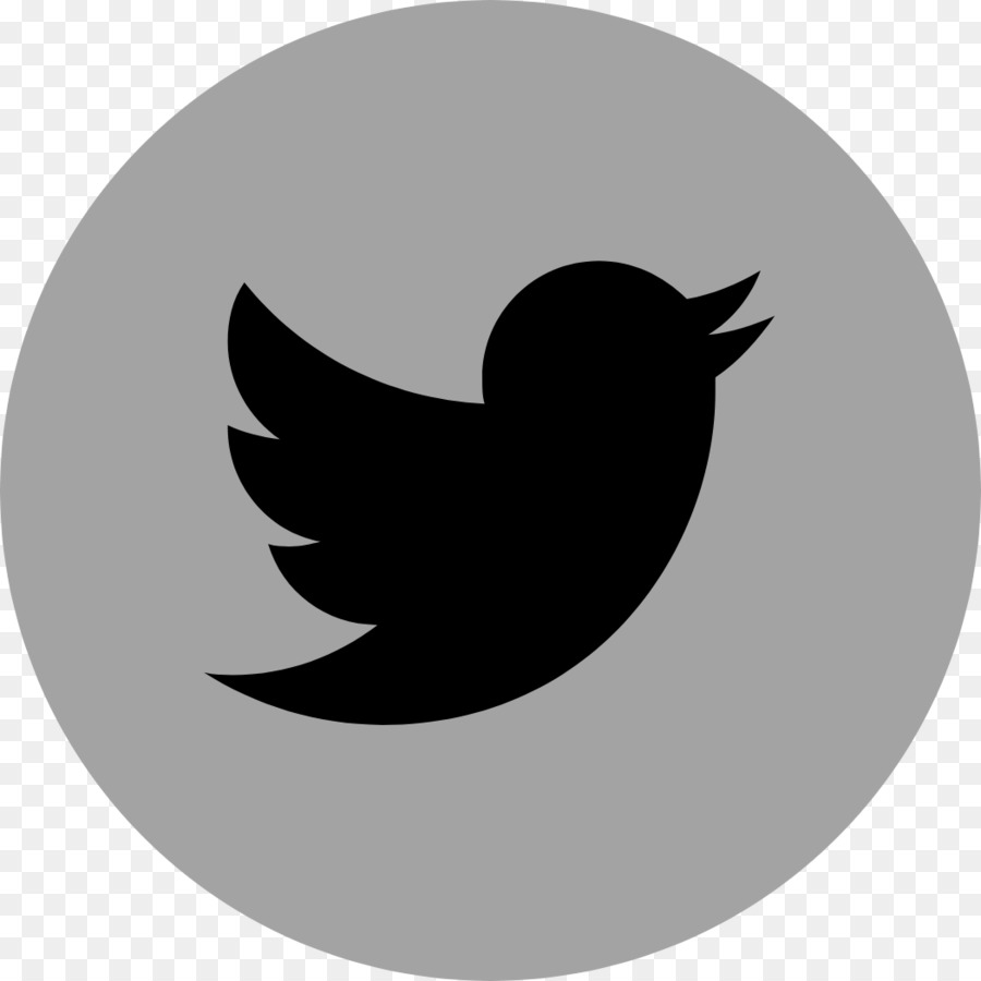 Logo Twitter，Oiseau PNG