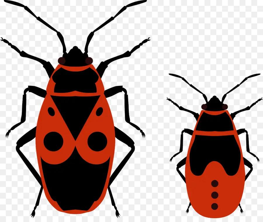 Insectes Rouges Et Noirs，Paire PNG