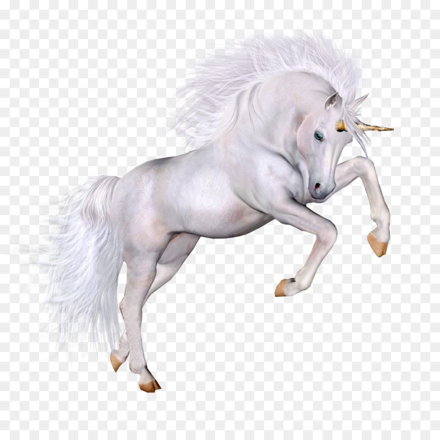 Licorne Blanche，Fantaisie PNG