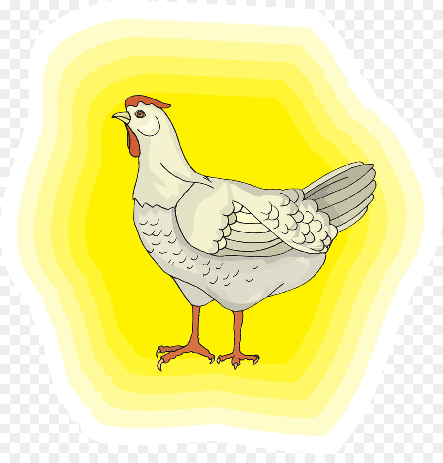 Poulet Blanc，Fond Jaune PNG