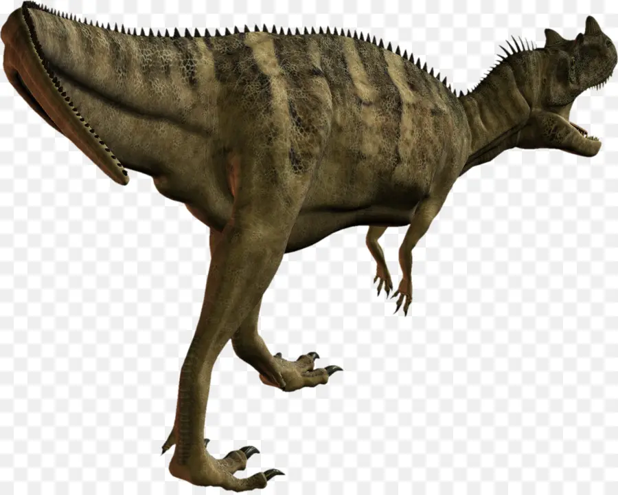 Dinosaures，Reptile PNG