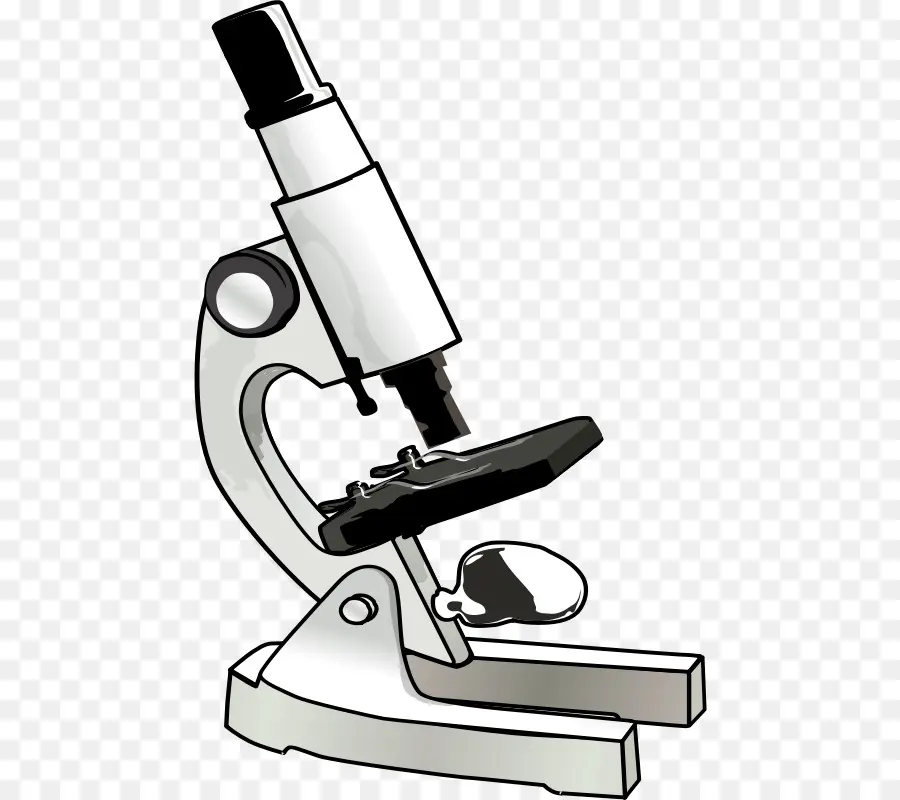 Microscope，Laboratoire PNG