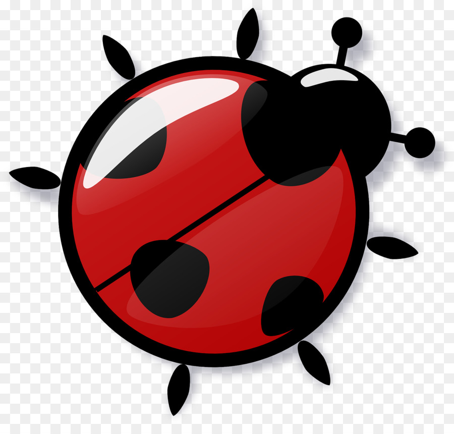 Coccinelle，Bogue PNG