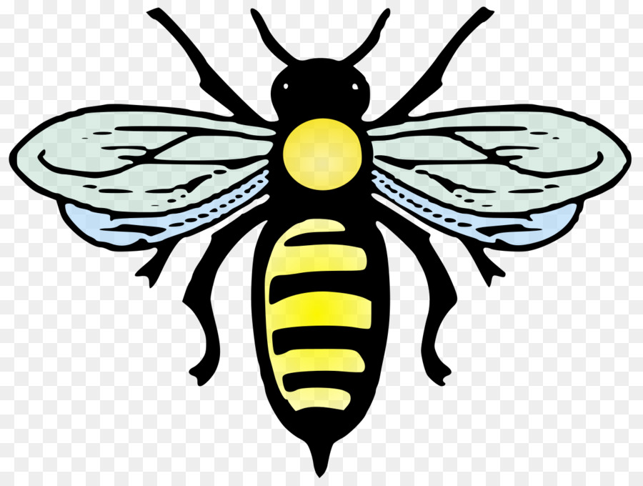 Abeille，Ailes PNG