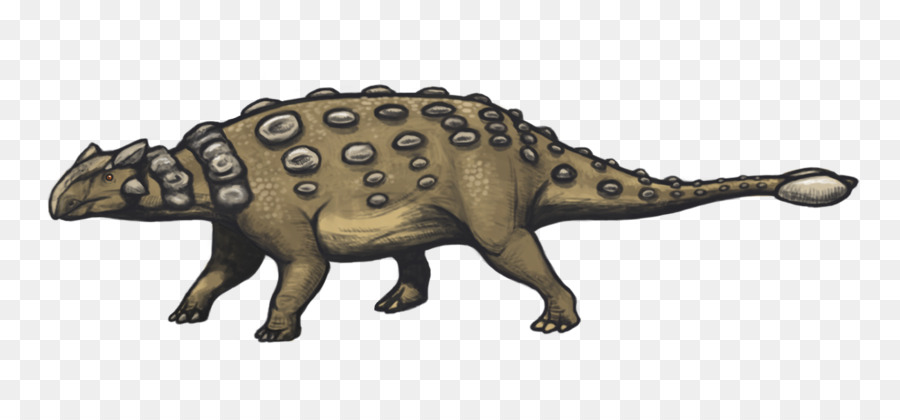Ankylosaure，Stégosaure PNG