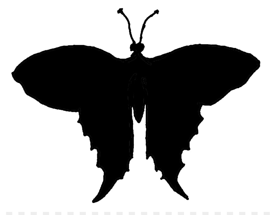 Papillon，Silhouette PNG