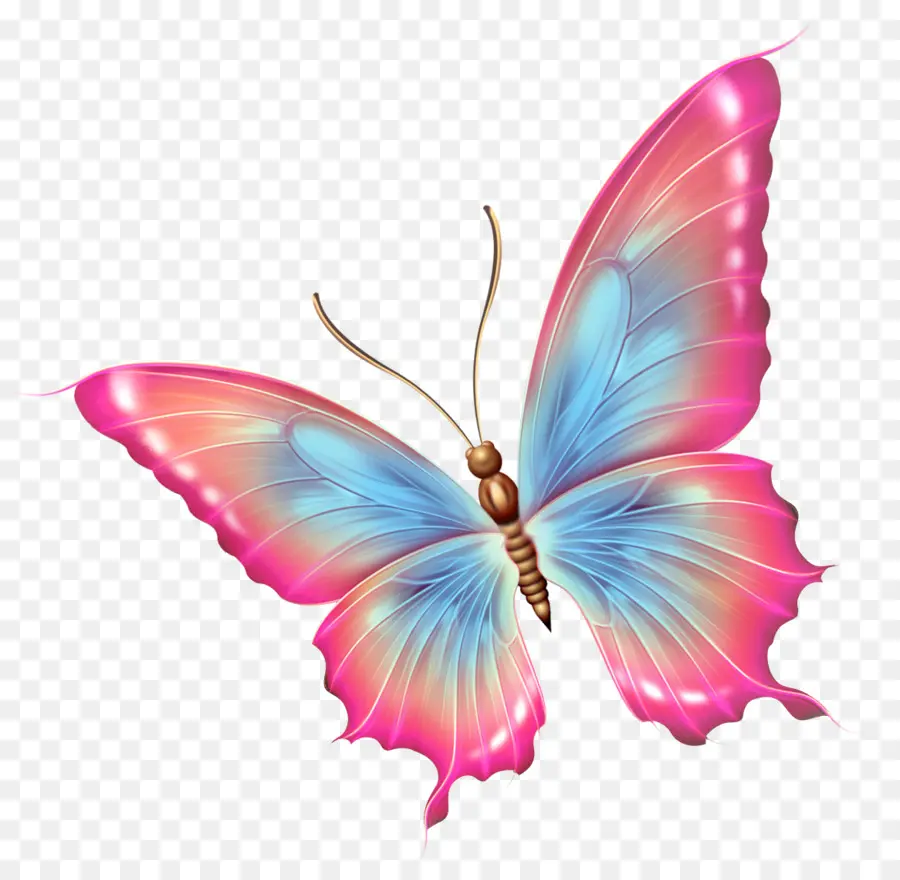 Papillon，Insecte PNG