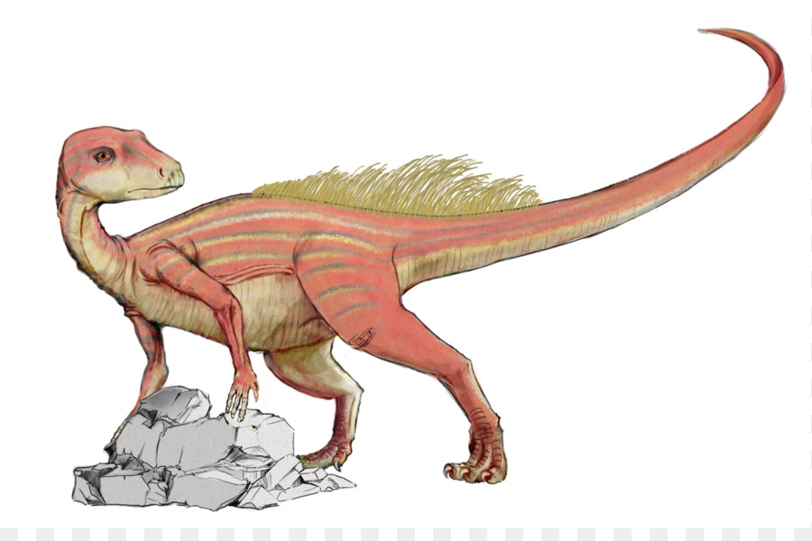 Abrictosaurus，Hétérodontosaure PNG