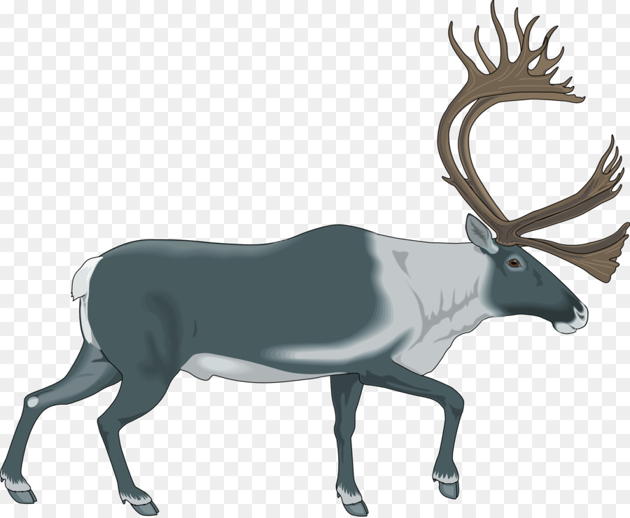 Cerf Noir，Bois PNG