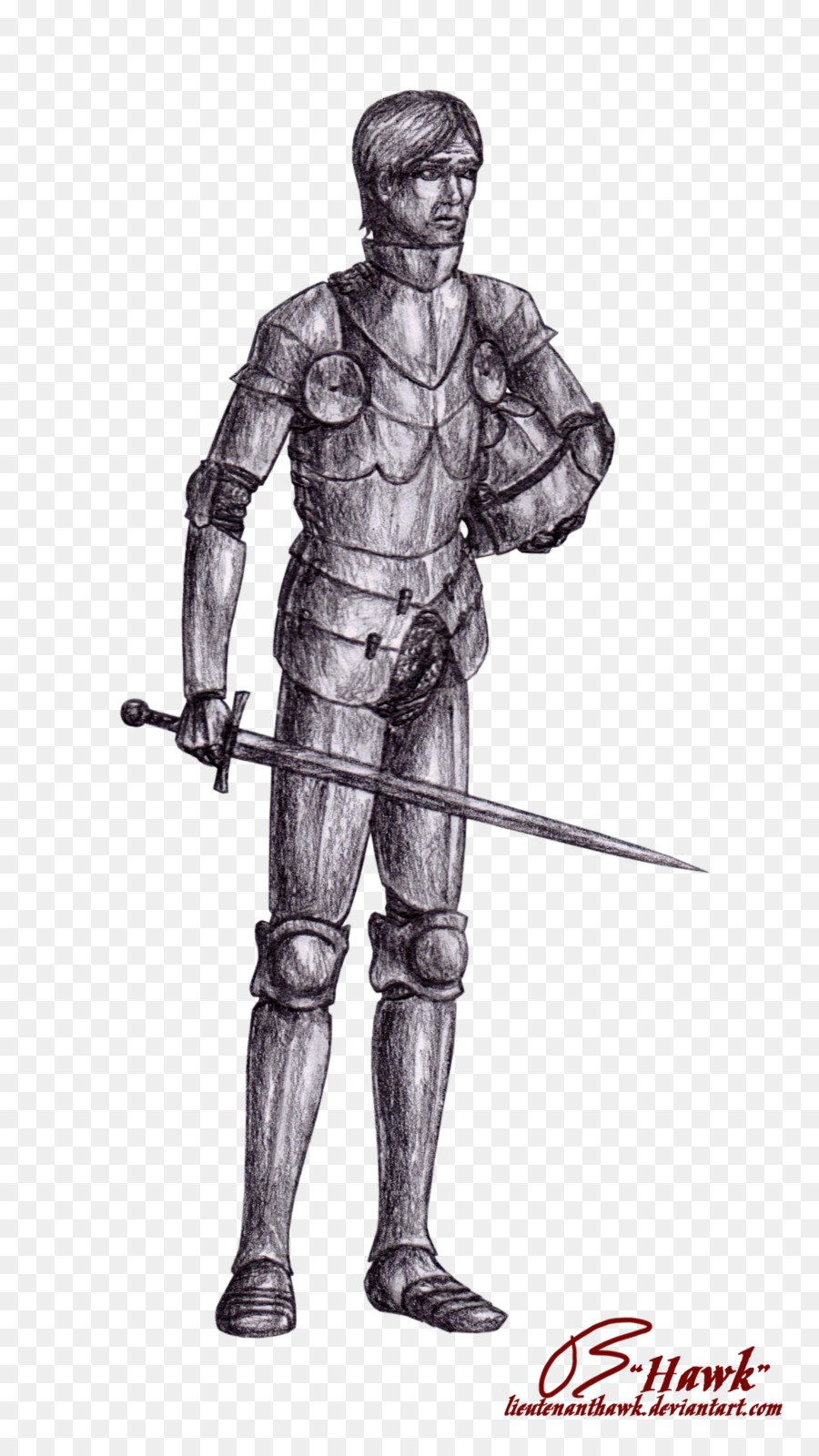 Chevalier，Armure PNG