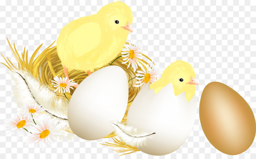 Poussins Et œufs Au Nid，Poussins PNG