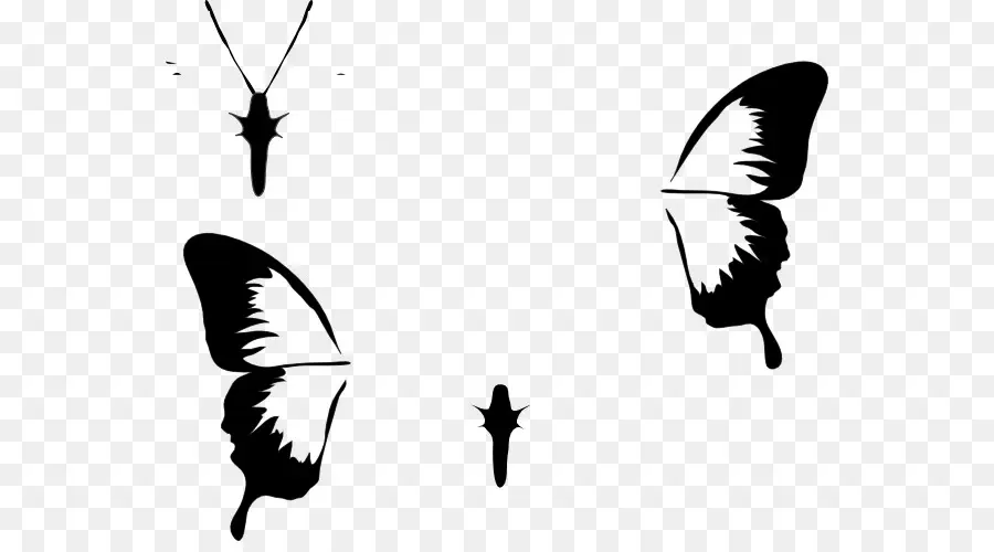 Silhouettes De Papillons，Silhouette PNG