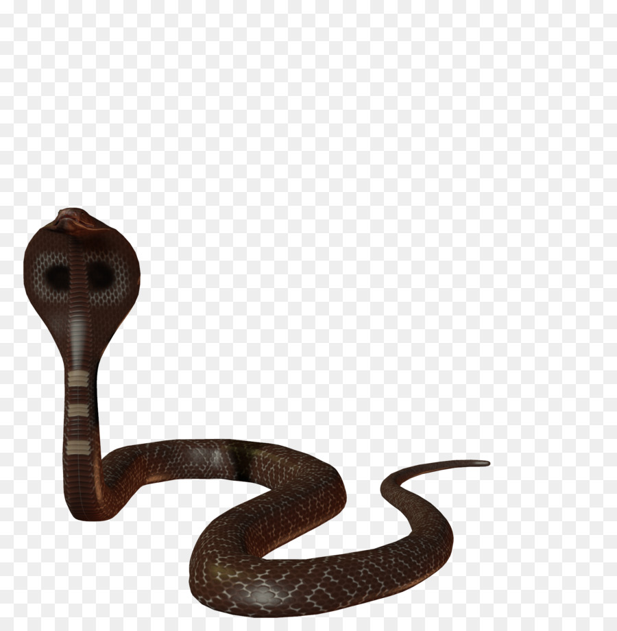 Cobra，Serpent PNG