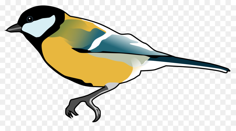 Oiseau，Finch PNG
